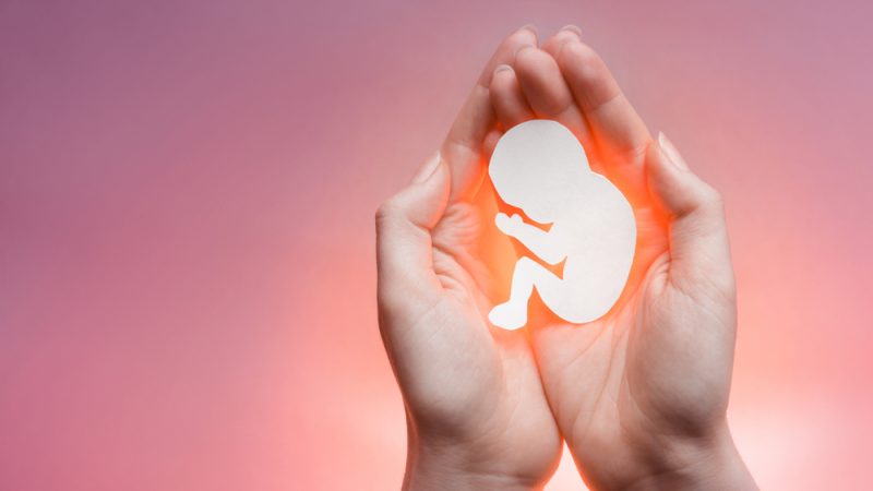 В РПЦ поддержали включение абортов в статистику смертности