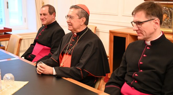 Встреча председателя ОВЦС с кардиналом Мигелем Аюсо Гиксотом