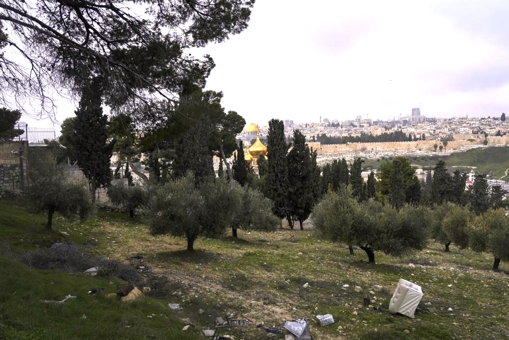 В Израиле отказались от парка на Масличной горе, уступив Церквам